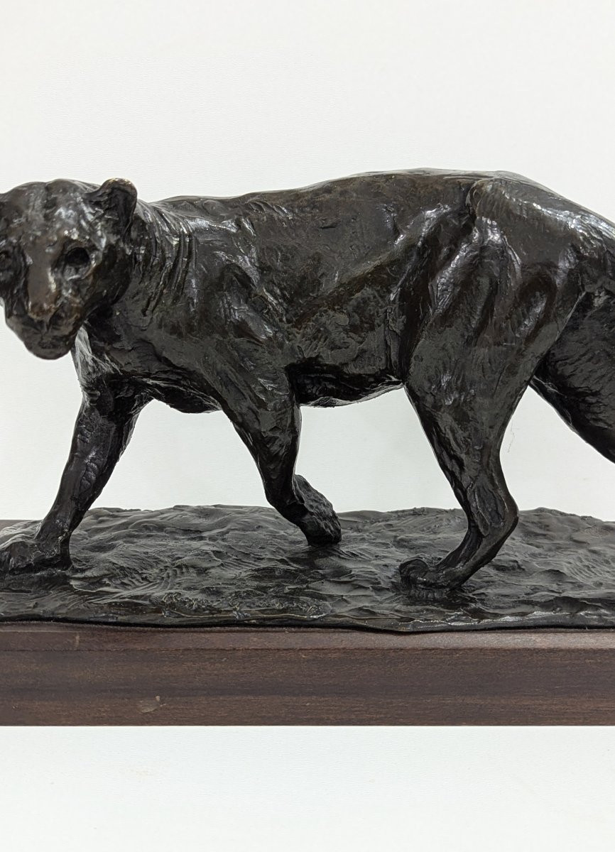 Bronze Lioness By Roger Godchaux – Lost Wax – Cast By Susse Frères-photo-3