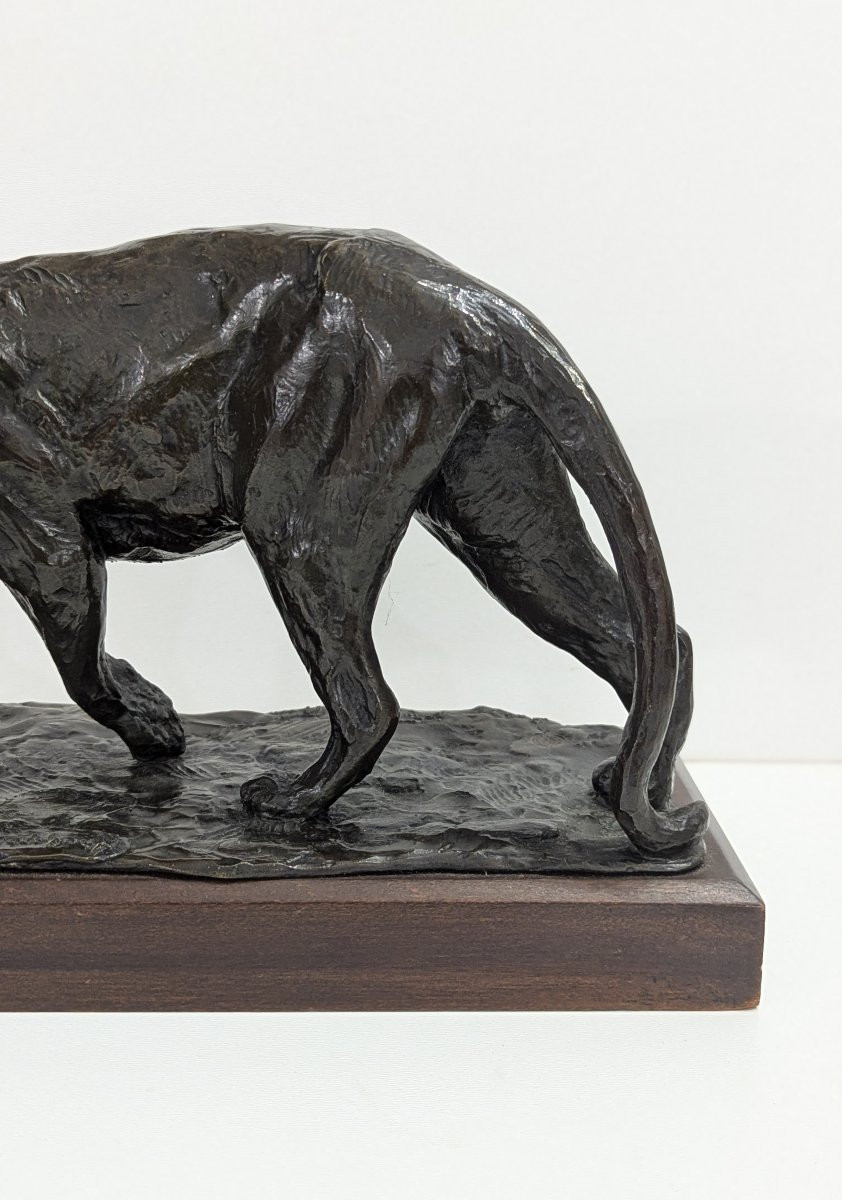 Bronze Lioness By Roger Godchaux – Lost Wax – Cast By Susse Frères-photo-4