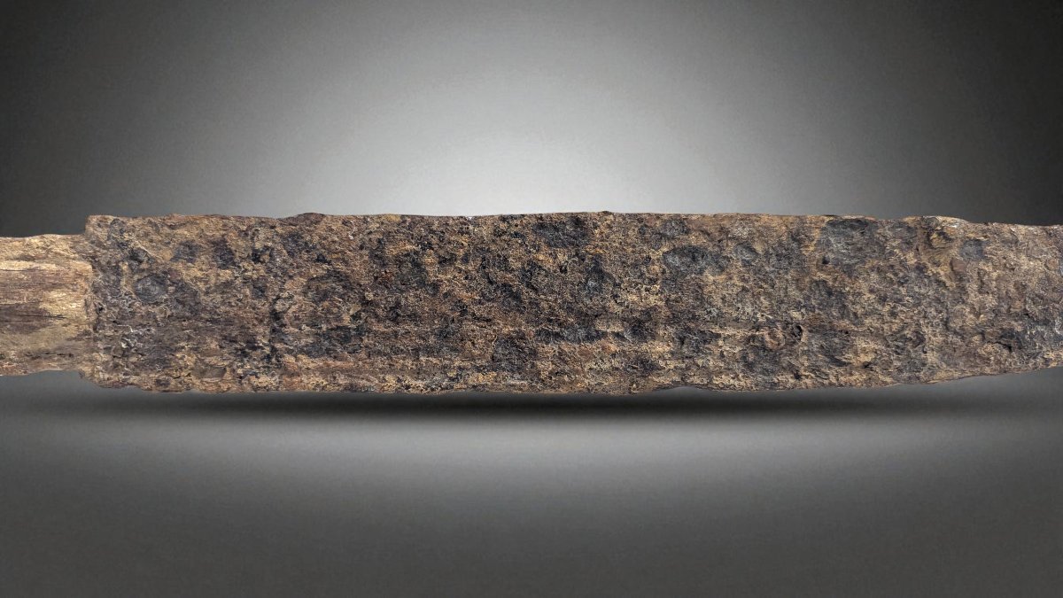 Scramasaxe mérovingien en fer et bois – Ancienne collection Auguste Nicaise (1828-1900)-photo-2