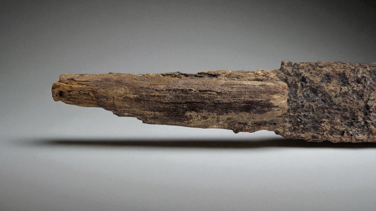 Scramasaxe mérovingien en fer et bois – Ancienne collection Auguste Nicaise (1828-1900)-photo-4