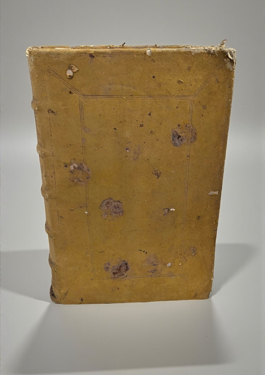 Décrétales de Grégoire IX –  Lyon 1613 – Plus de 2000 pages - Gros ouvrage début XVIIe-photo-4