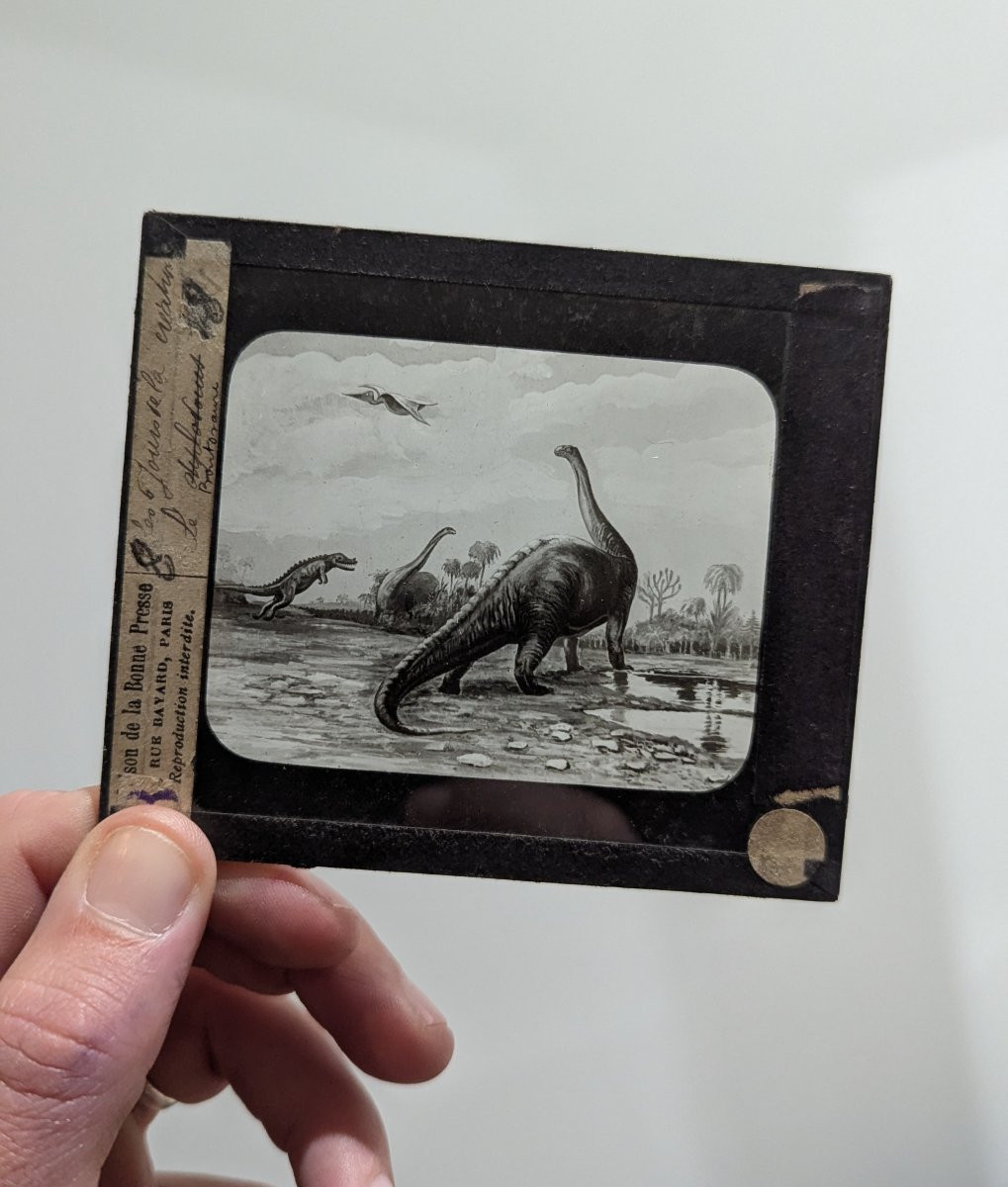 Lot Of Nearly 400 Glass Slides For A Magic Lantern - Late 19th Century -photo-1