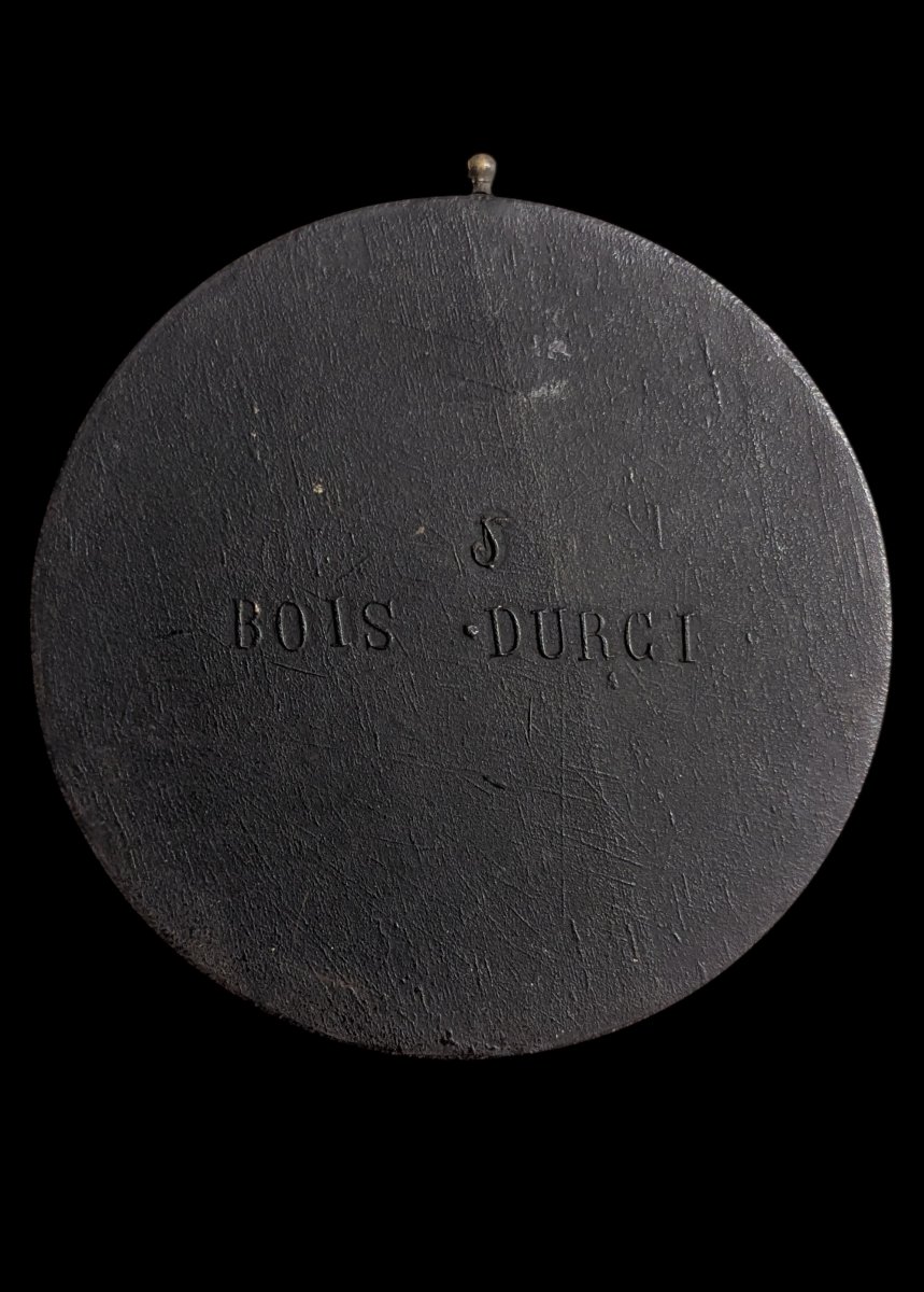 Hardwood Medallions With The Profile Of Napoleon III, Attributed To François Lepage-photo-4