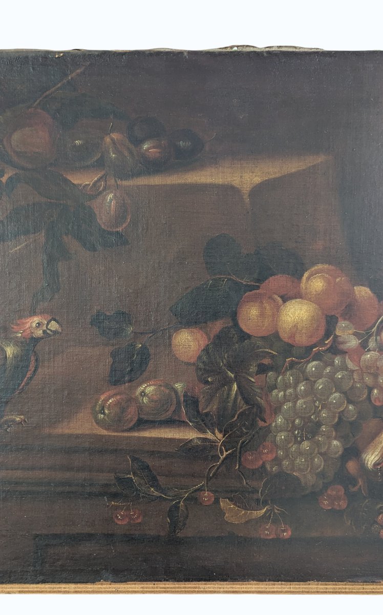 Still Life With Parrot And Fruit - Oil On Canvas - Late 17th Century-photo-2
