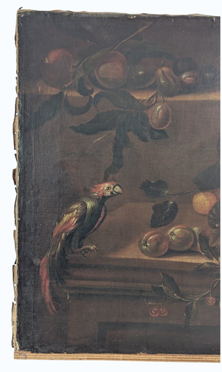 Still Life With Parrot And Fruit - Oil On Canvas - Late 17th Century-photo-3