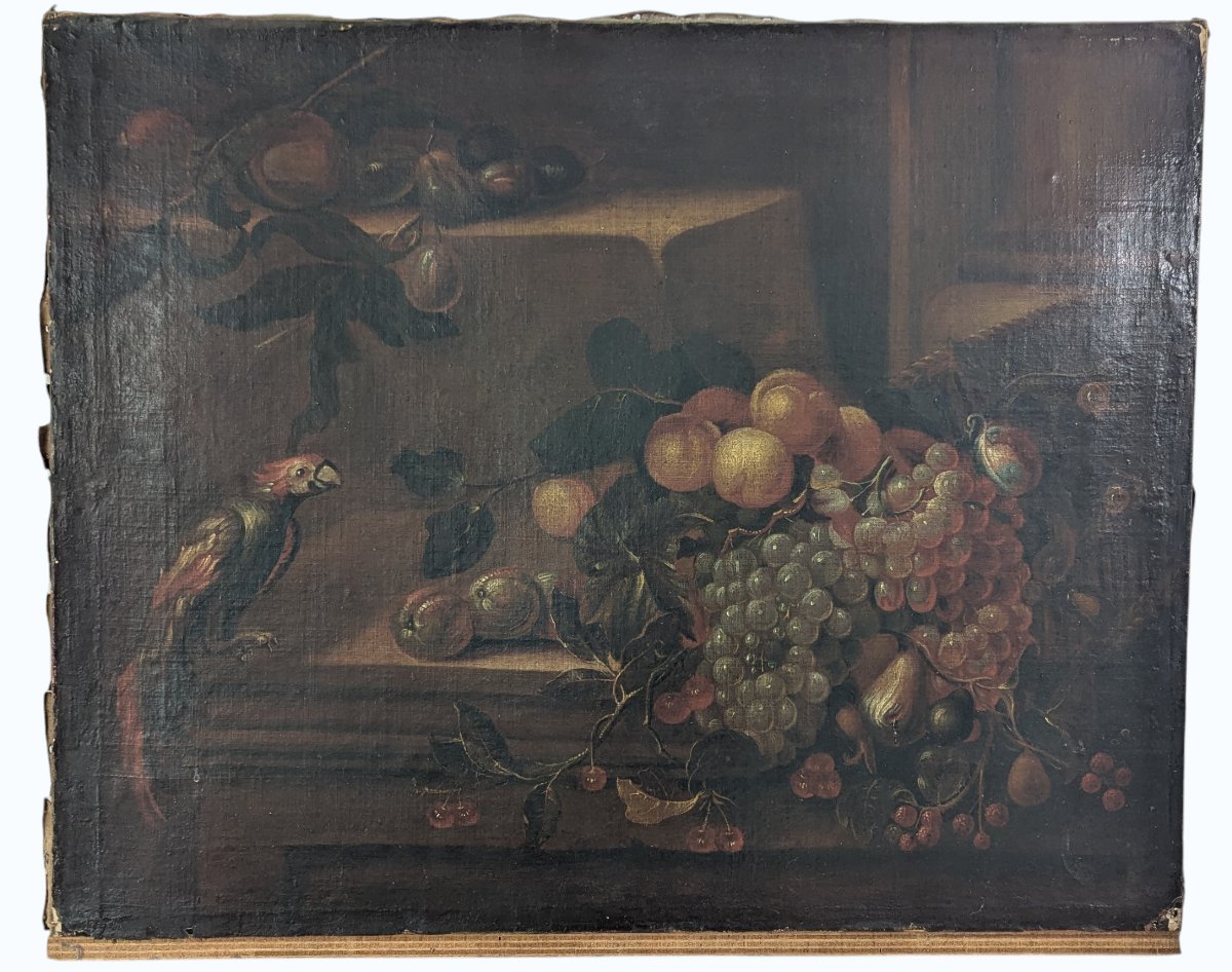 Still Life With Parrot And Fruit - Oil On Canvas - Late 17th Century-photo-4