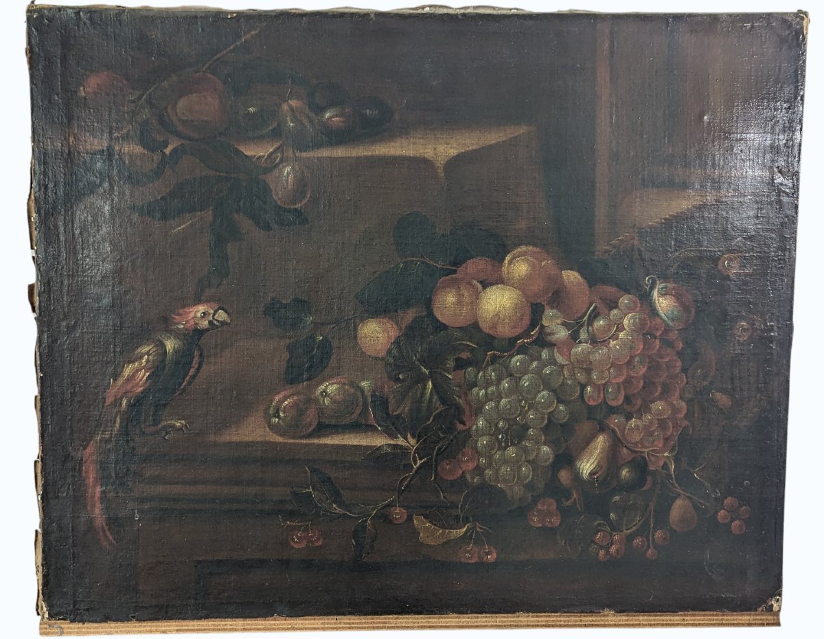 Still Life With Parrot And Fruit - Oil On Canvas - Late 17th Century-photo-2