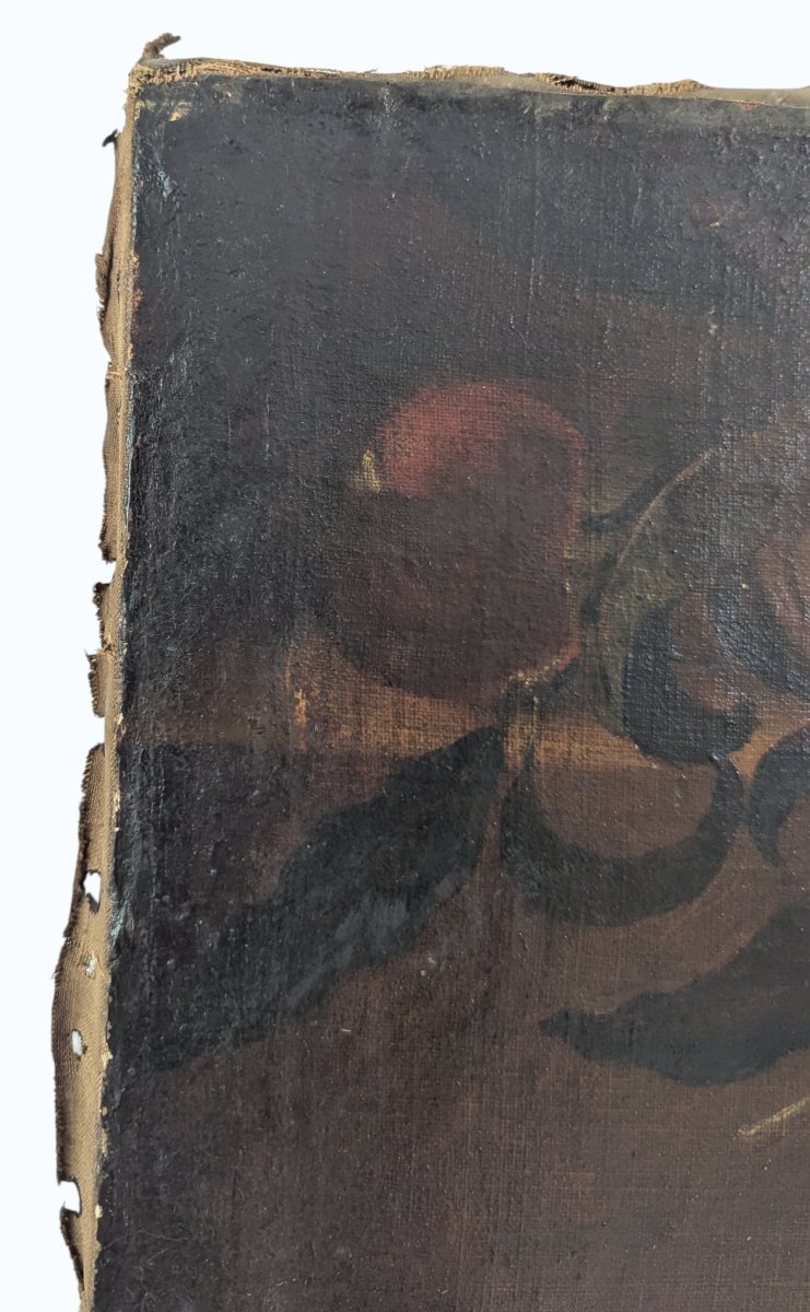 Still Life With Parrot And Fruit - Oil On Canvas - Late 17th Century-photo-3