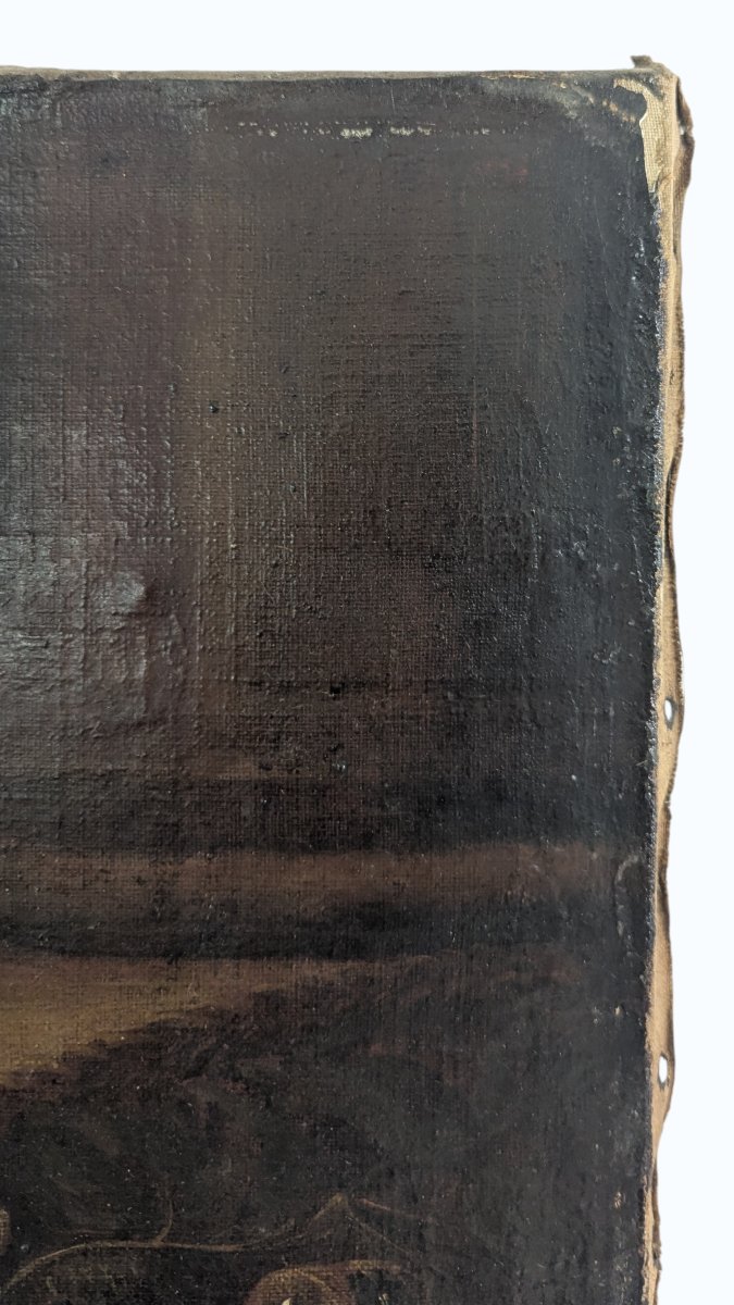 Still Life With Parrot And Fruit - Oil On Canvas - Late 17th Century-photo-4