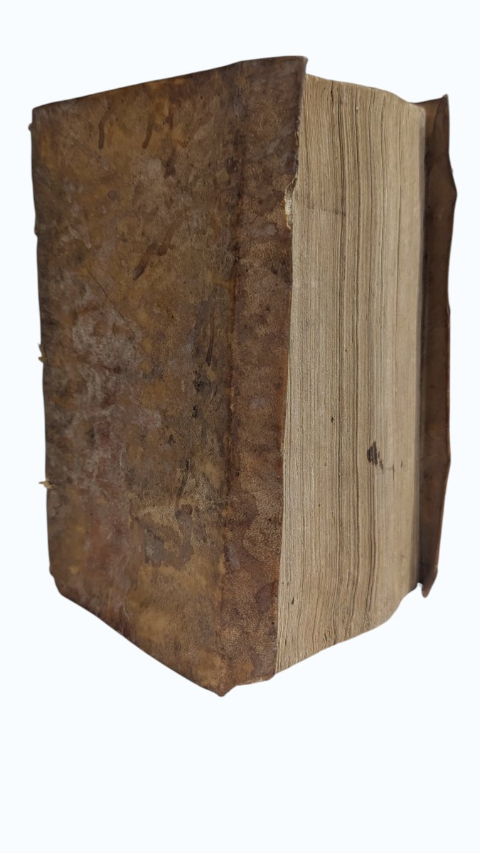 Pietro Giovanni Ferrari - Judicial Practice - Geneva 1594 - Book 16th-photo-4