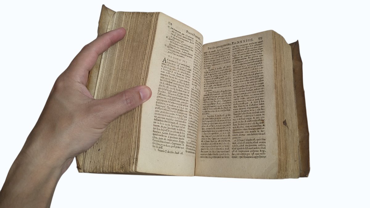 Pietro Giovanni Ferrari - Judicial Practice - Geneva 1594 - Book 16th-photo-3
