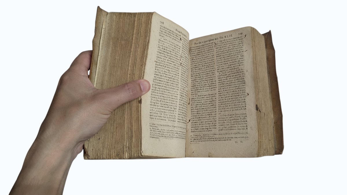 Pietro Giovanni Ferrari - Judicial Practice - Geneva 1594 - Book 16th-photo-7