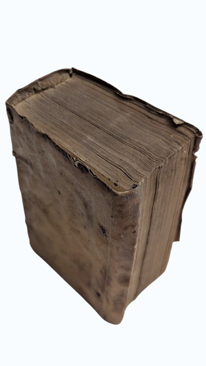 Cicero - Epistolae Ad Atticum, Ad Brutum, Ad Q. Fratem - Lyon - 1581 -book 16th-photo-6