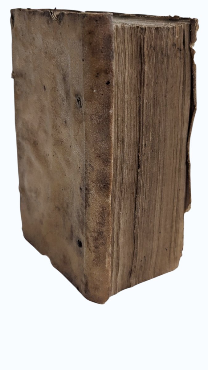 Cicero - Epistolae Ad Atticum, Ad Brutum, Ad Q. Fratem - Lyon - 1581 -book 16th-photo-8