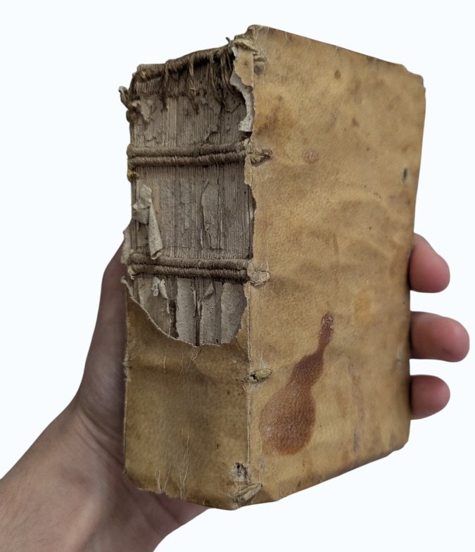 Ausone & élien - Three Books Compiled - 1567 To 1575 -rare - Books 16th-photo-8