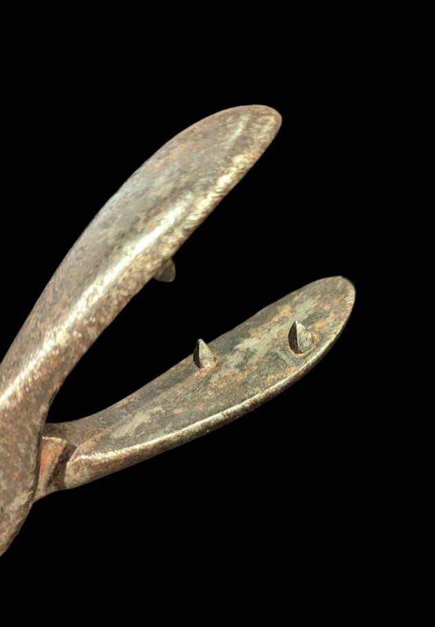 Pince à torture dite « arracheur de langue » - XVIIe siècle-photo-4