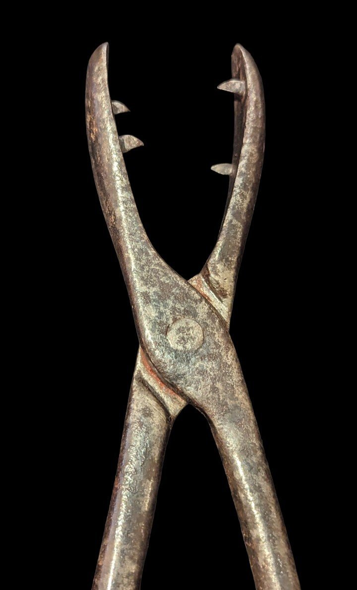 Pince à torture dite « arracheur de langue » - XVIIe siècle-photo-6