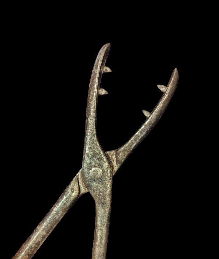 Pince à torture dite « arracheur de langue » - XVIIe siècle