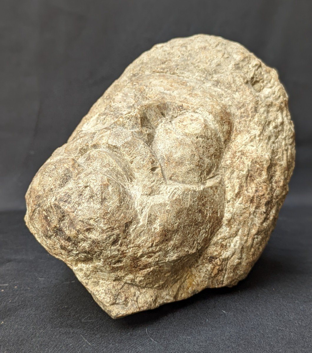 Ancient Stone Head Smooth Eyes Enigma-photo-4