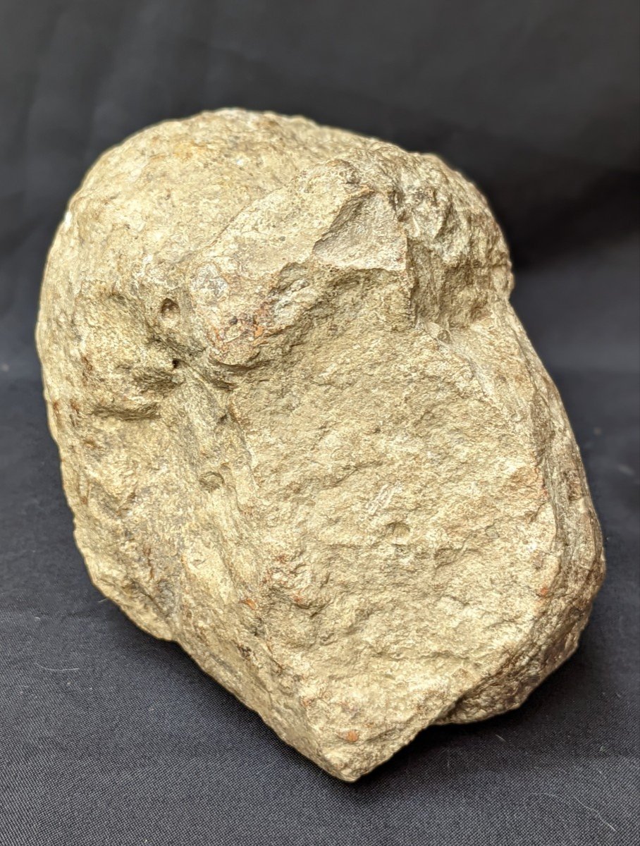 Ancient Stone Head Smooth Eyes Enigma-photo-4