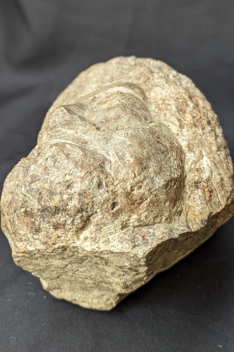 Ancient Stone Head Smooth Eyes Enigma-photo-5