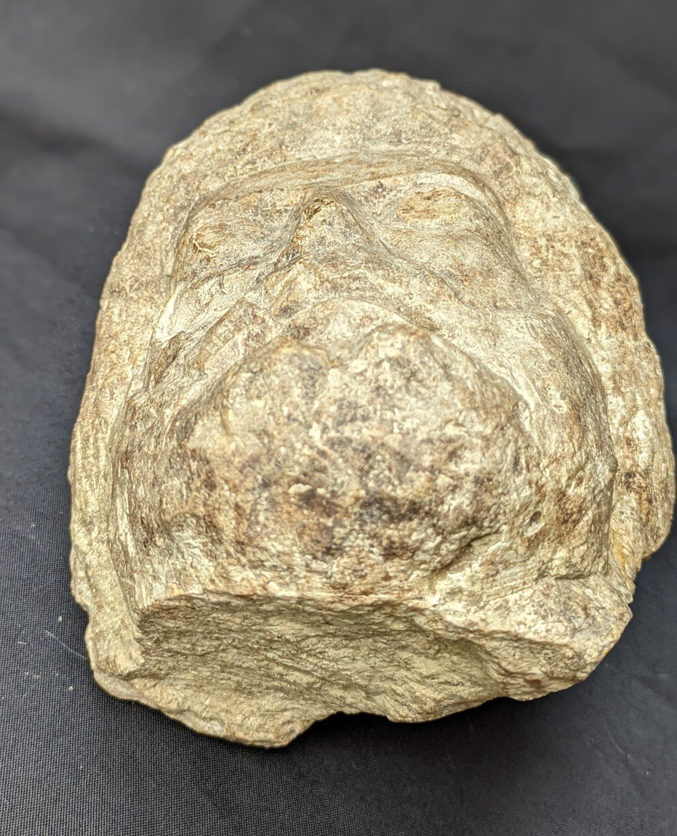 Ancient Stone Head Smooth Eyes Enigma-photo-6