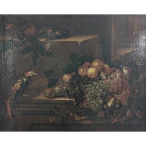 Still Life With Parrot And Fruit - Oil On Canvas - Late 17th Century