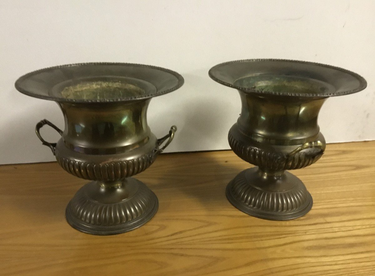 Pair Of Buckets To Refresh