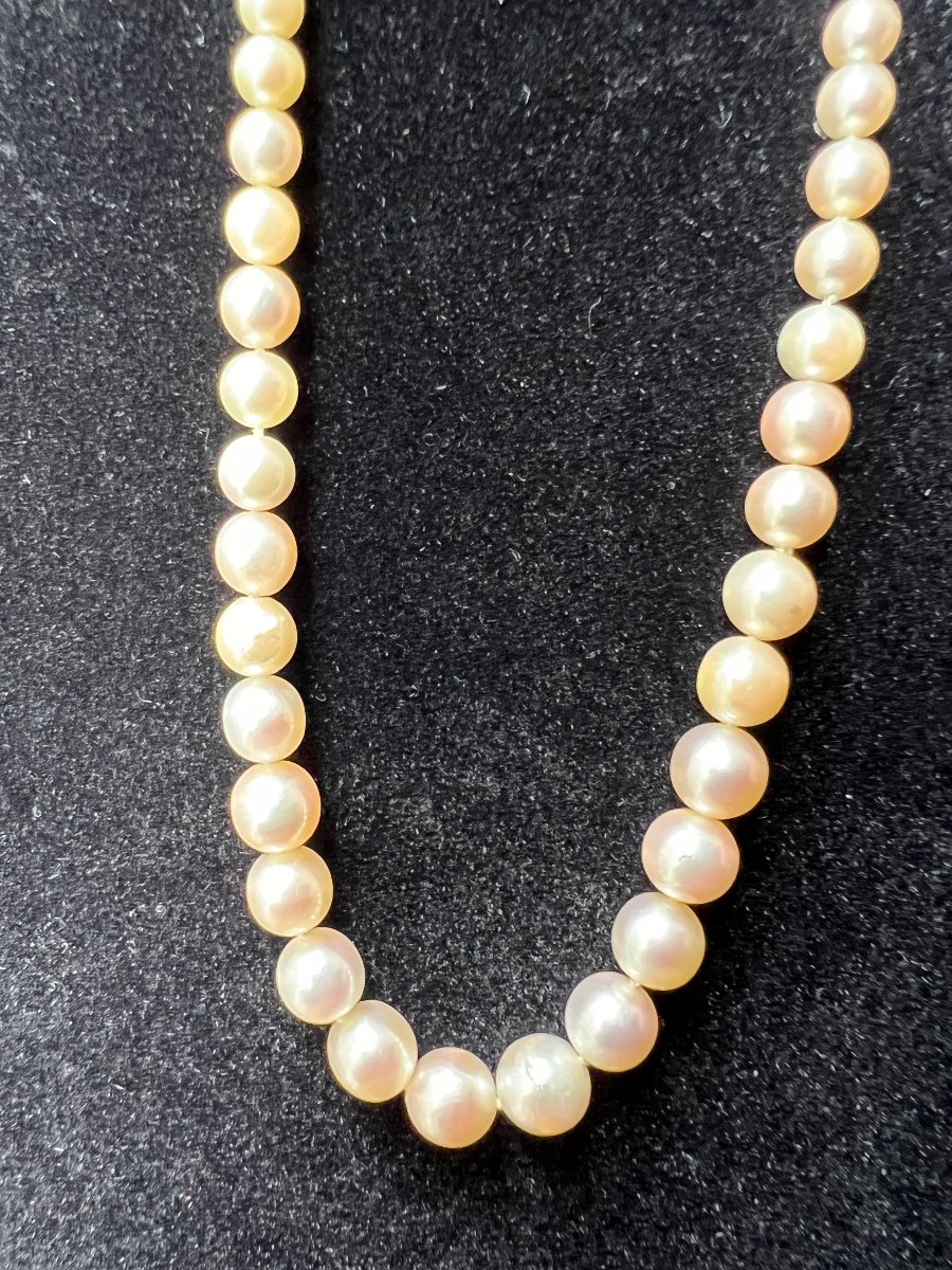 Collier 61 Perles De Culture Fermoir Or 38 Cm-photo-3