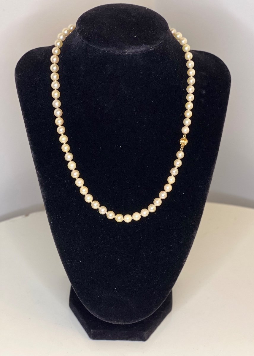 Chocker Necklace 63 Cultured Pearls 18k Gold Clasp 44 Cm-photo-2