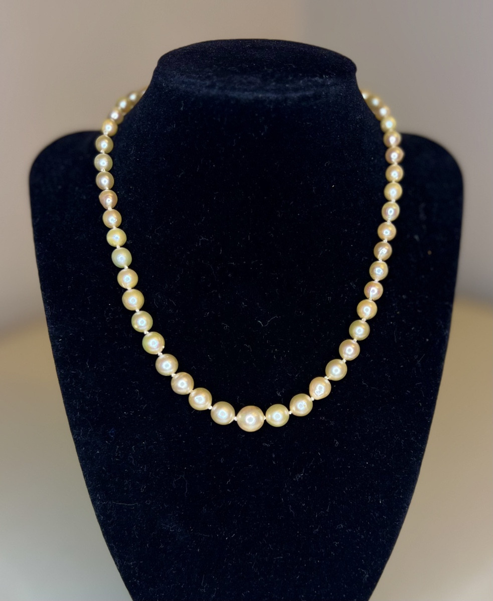 Collier 51 Perles De Culture Des Mers Du Sud Fermoir Argent 950 41 Cm