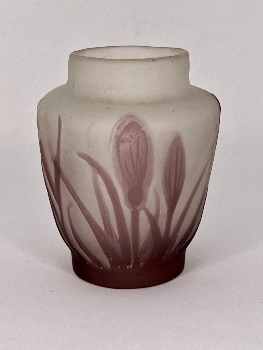Galled Crocus Vase, Art Deco Art Nouveau Glass Paste (daum Legras)