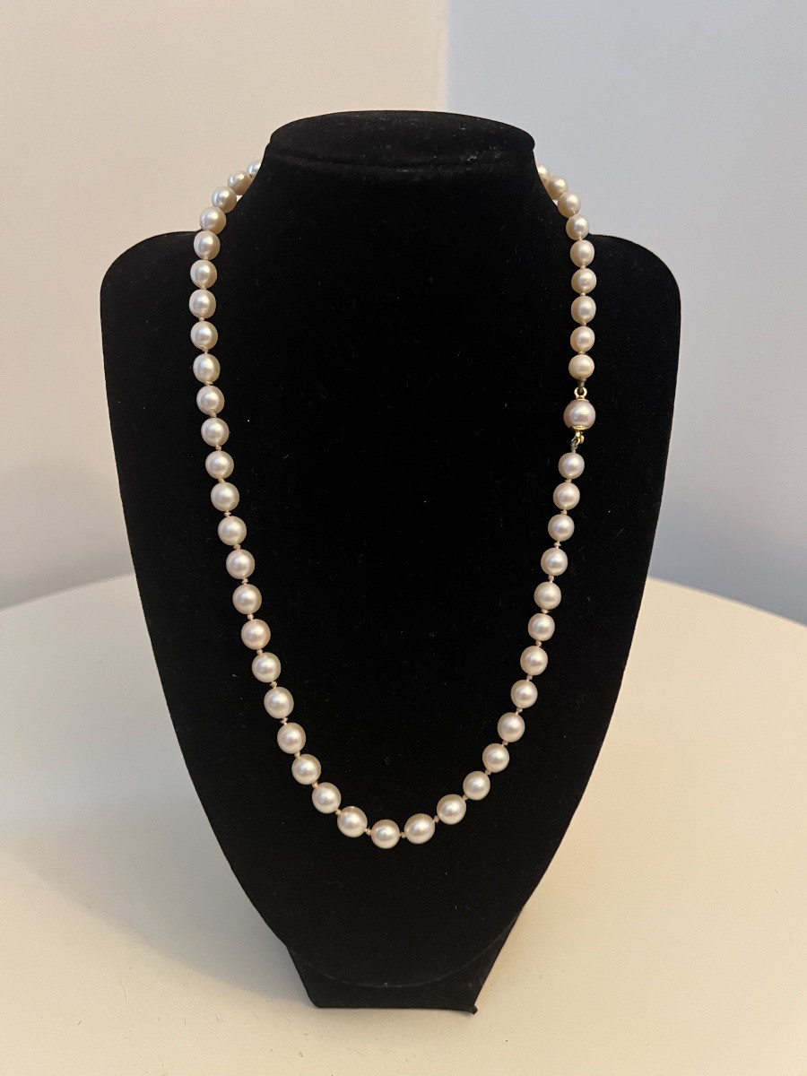 Choker Necklace With 55 Cultured Pearls, 18k Gold Clasp, 51 Cm-photo-1