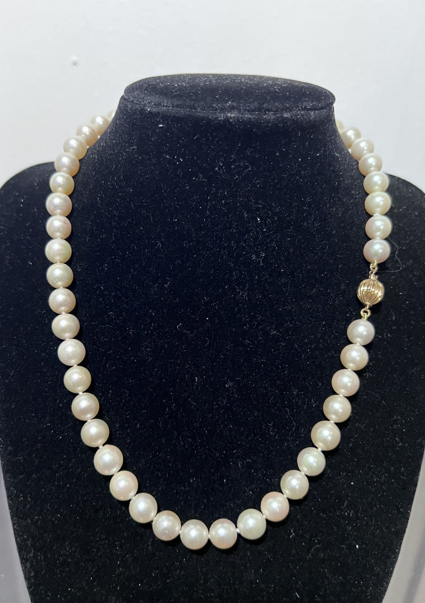 Choker Necklace 49 Akoya Cultured Pearls 18k Gold Clasp 43.5 Cm-photo-3