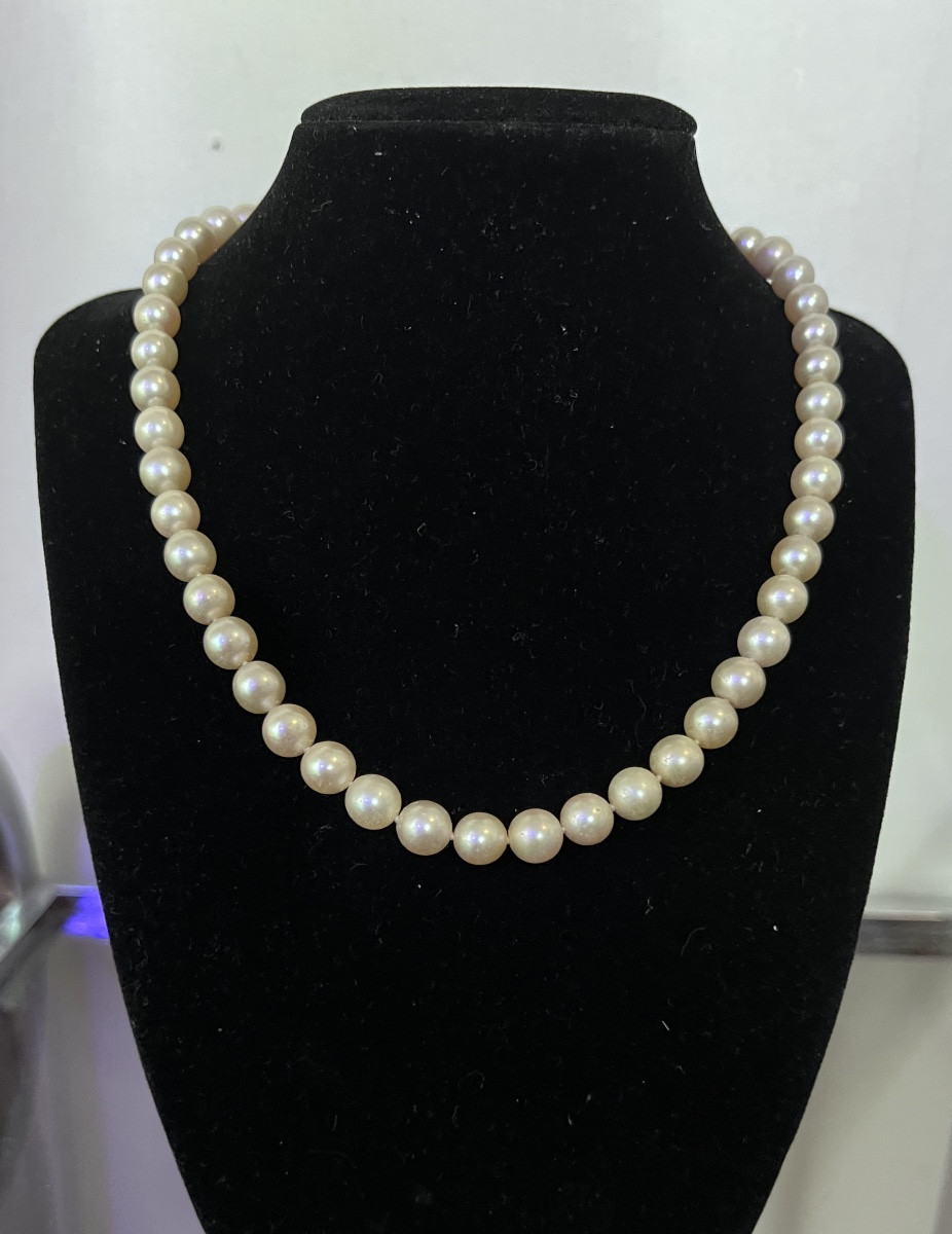 Choker Necklace 49 Akoya Cultured Pearls 18k Gold Clasp 43.5 Cm