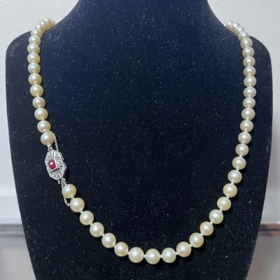 Premiere-Image-1734941