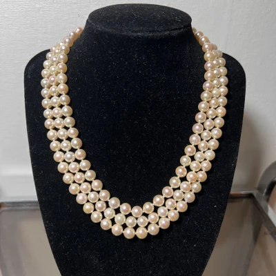 Premiere-Image-1735023