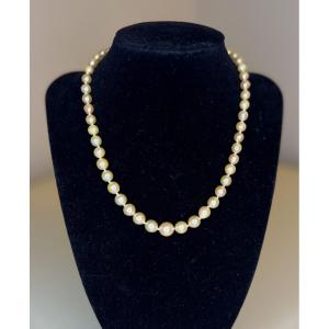 Collier 51 Perles De Culture Des Mers Du Sud Fermoir Argent 950 41 Cm