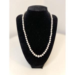 Necklace 73 Cultured Pearls Silver Clasp 50 Cm