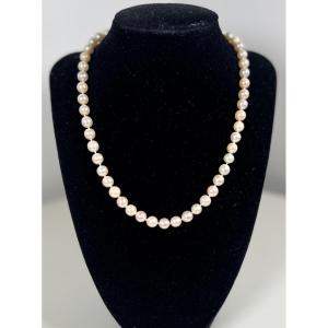 COLLIER CHOKER 54 PERLES DE CULTURE BLANCHE 46 CM FERMOIR OR