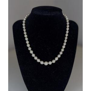 Necklace 51 South Sea Cultured Pearls 950°/°° Silver Clasp 41 Cm