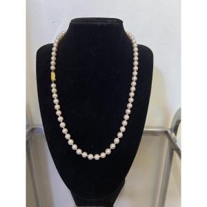 Collier choker 66 perles de culture blanche fermoir or 18K 50,5 cm