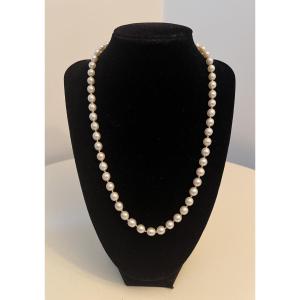 Choker Necklace With 55 Cultured Pearls, 18k Gold Clasp, 51 Cm