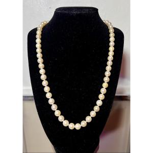 Necklace With 58 White Akoya Cultured Pearls, 18k Gold Clasp, Sapphire, 54 Cm