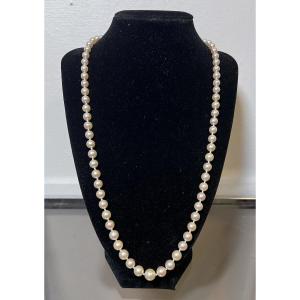 Necklace 73 Akoya Cultured Pearls 18k Gold Clasp In A Pearl 61 Cm