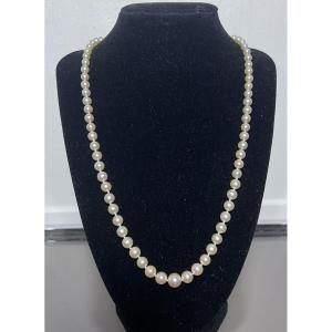 Necklace 77 Cultured Pearls With 18k Gold Clasp And Diamonds 55 Cm
