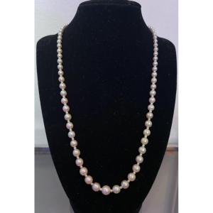 Necklace Large And Small Cultured Pearls Clasp 18k Gold 55.5 Cm