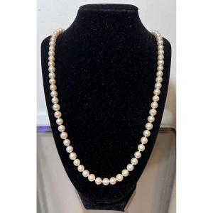 Sautoir collier 83 perles de culture fermoir or 18K 69 cm
