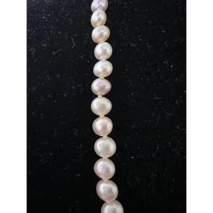 Necklace With 77 Cultured Pearls, 45 Cm, 750°/°° Gold Clasp