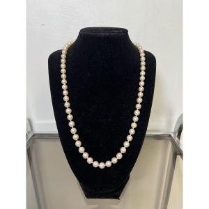 Collier choker 63 perles de culture fermoir or 18k et saphir 54,5 CM